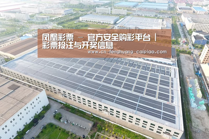 案例展示一
