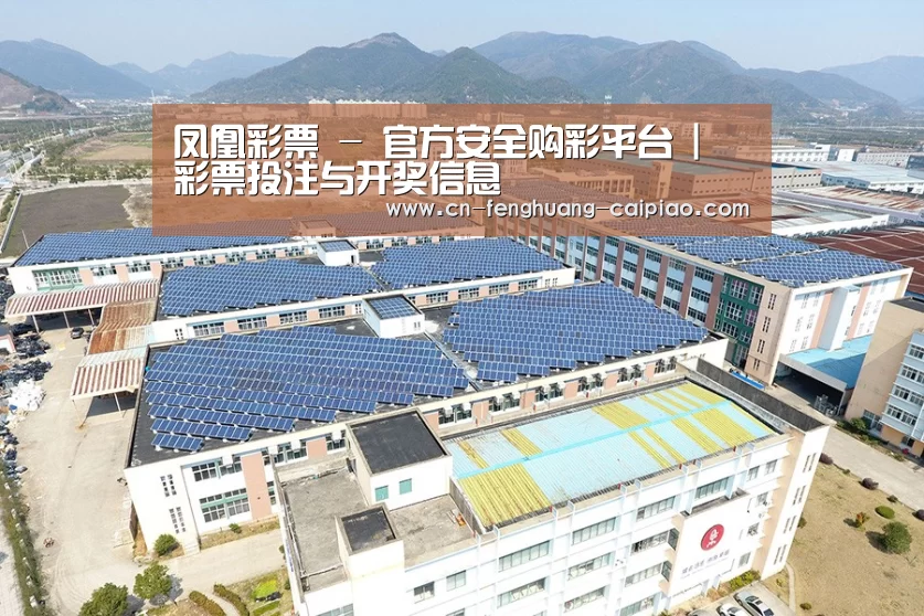 案例展示二