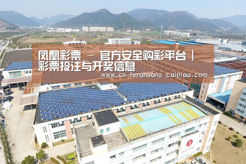 案例展示一