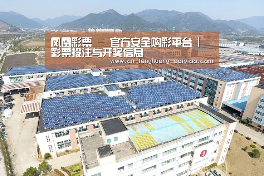 案例展示四