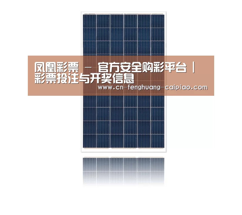 产品名称一