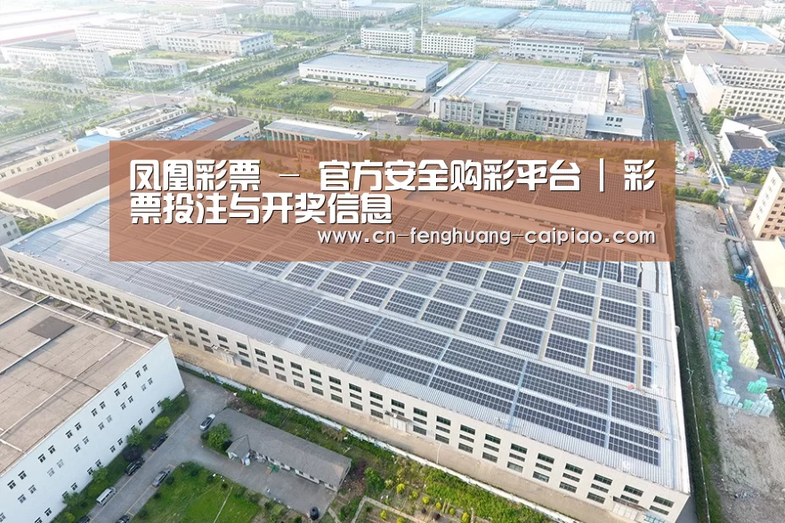 案例展示二