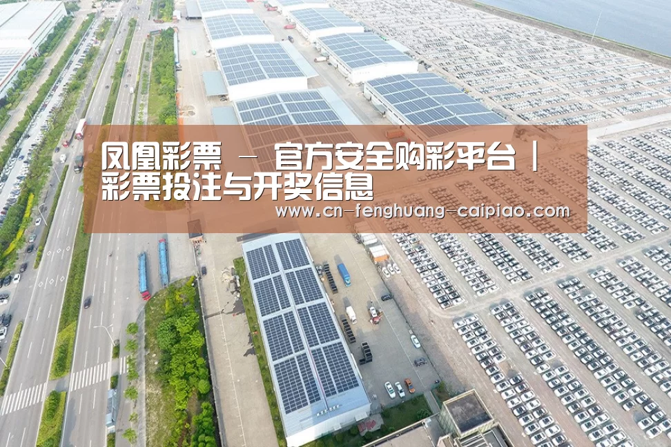 案例展示三